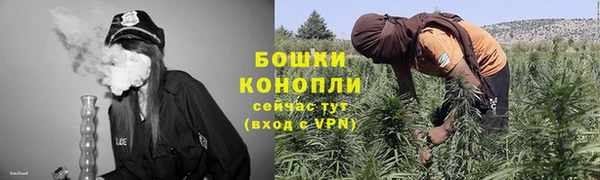 spice Вяземский