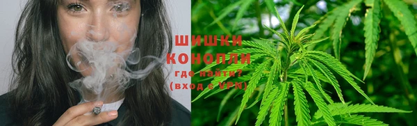spice Вяземский