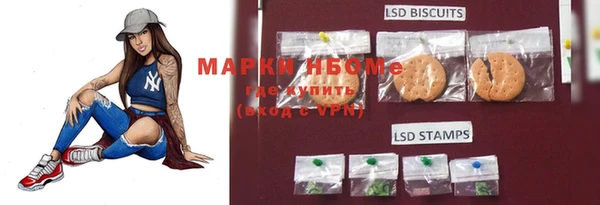 хмурый Вязьма