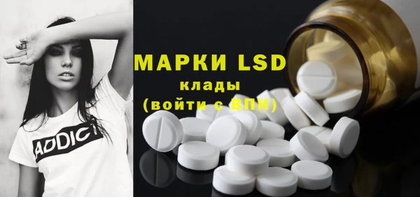 spice Вяземский