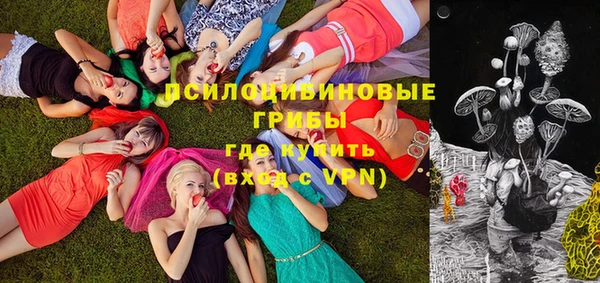соль ск Вязники
