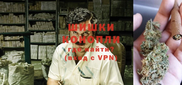 spice Вяземский