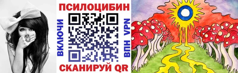 Псилоцибиновые грибы Psilocybe  где купить наркоту  Дятьково 