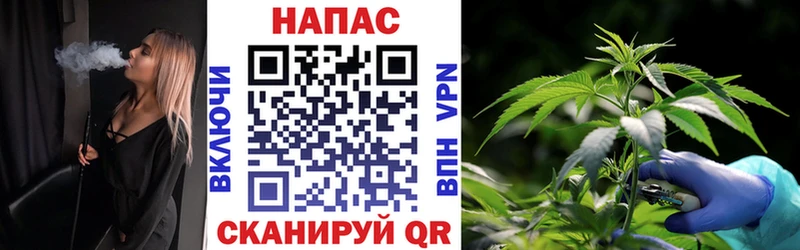 Каннабис ГИДРОПОН  Дятьково 